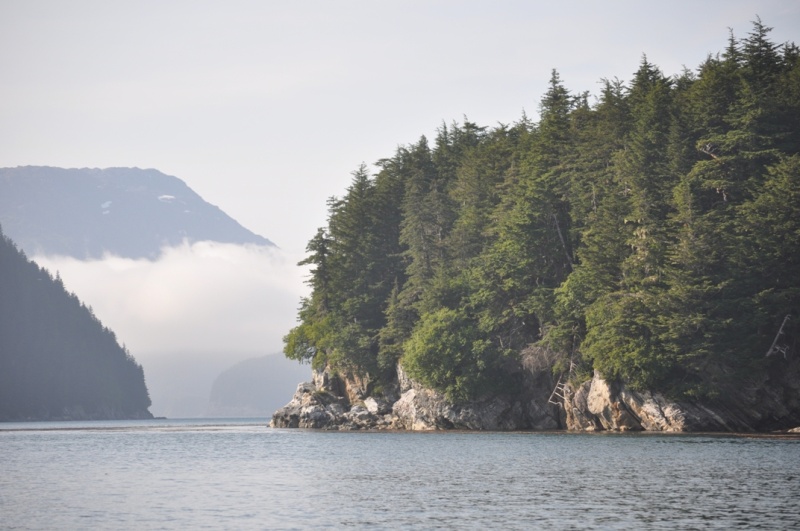 Mosquito Cove anchorage, Inian Islands