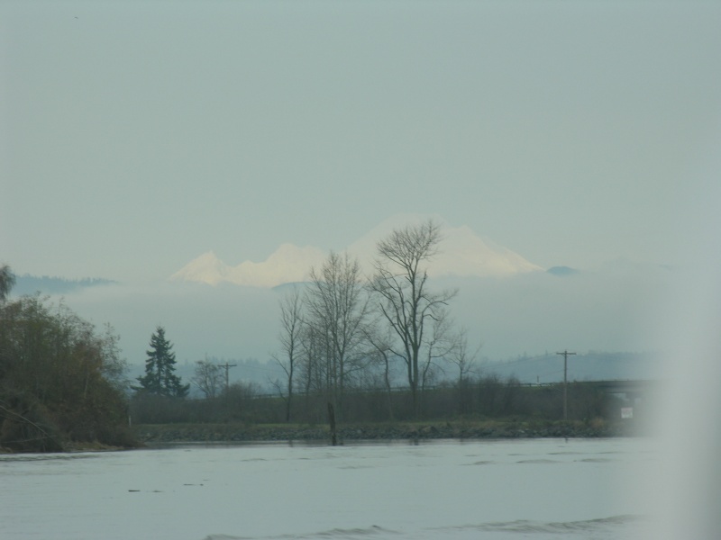 Mt. Baker was "out"