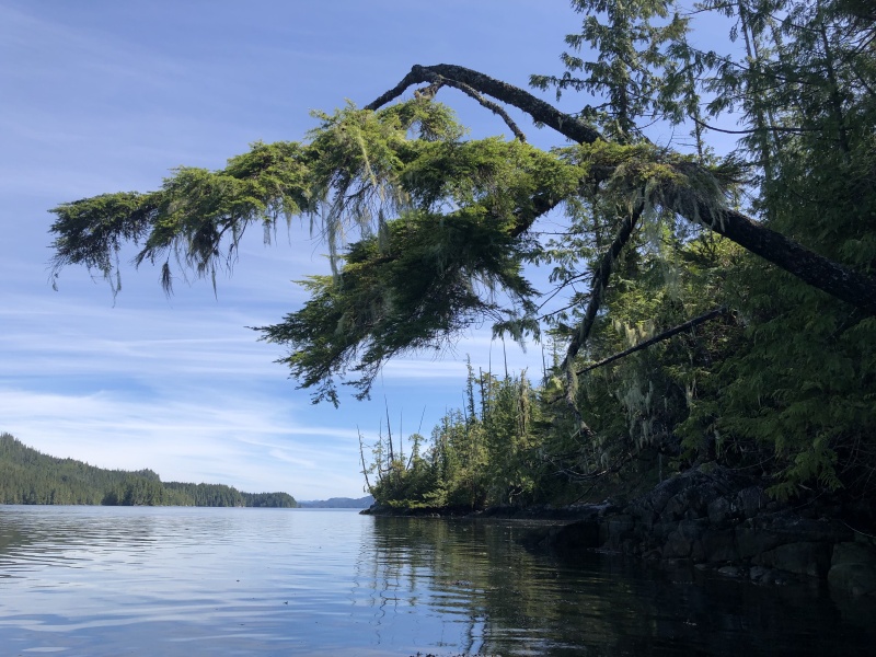 Muirhead Islands, Drury Inlet, The Broughtons