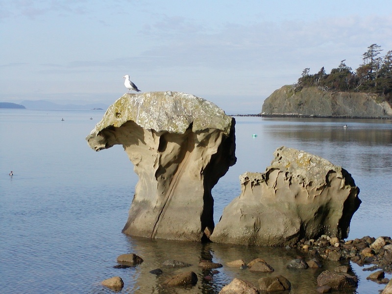 Mushroom Rock, Sucia Island 3/22/04