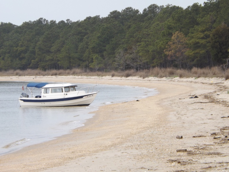 my calendar shot pt2