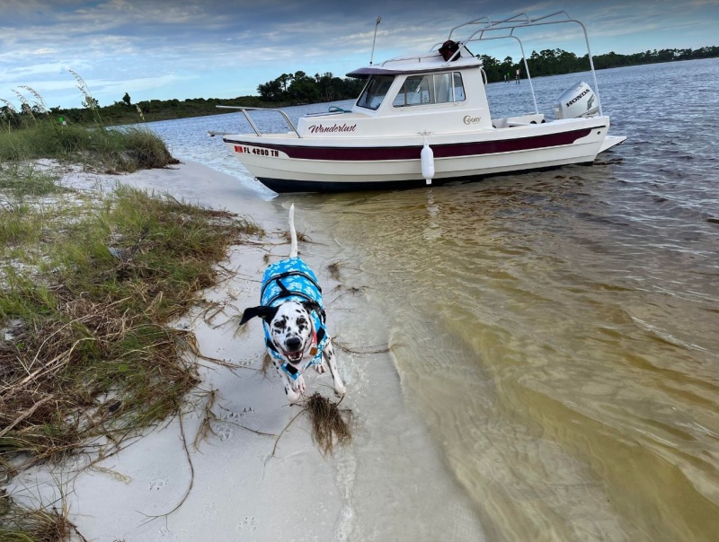 My girl Joplin. Navy Point, Pensacola FL