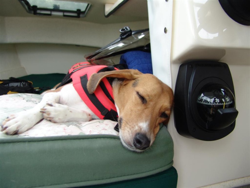 Nap time.
