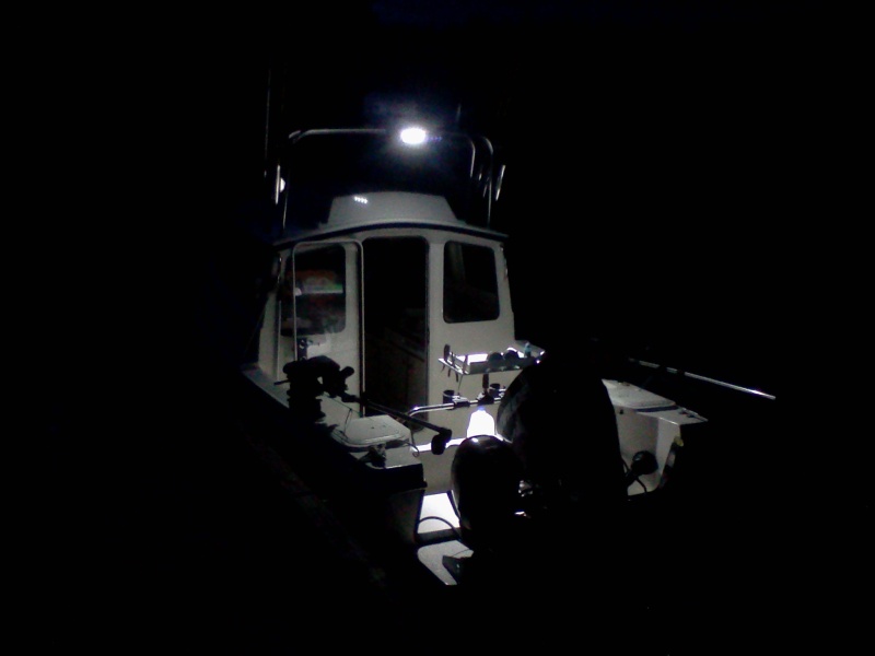 New flood light works great