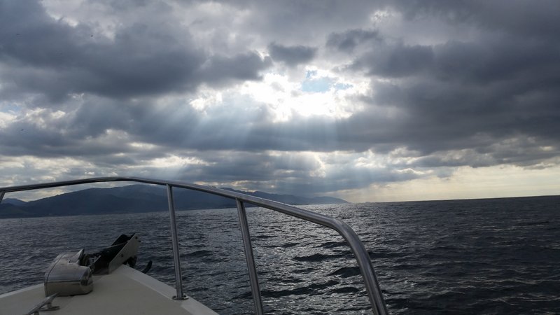 New Years Day 2016 Heading back to Carmel for another day of diving