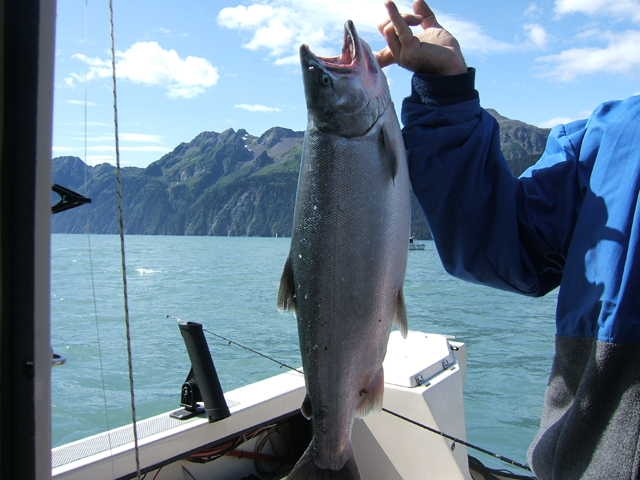 nice catch 8-06