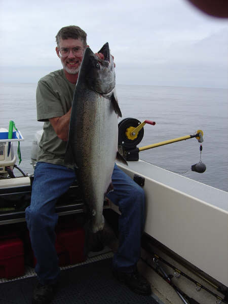 Nice Chinook