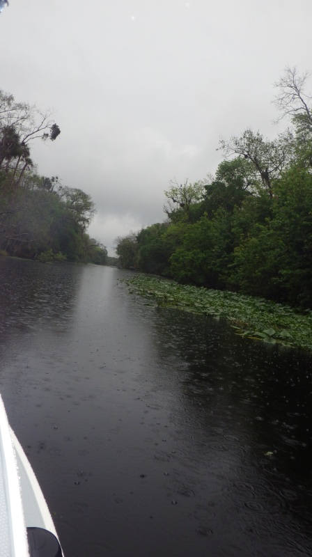 Norris Dead River in the evening rain