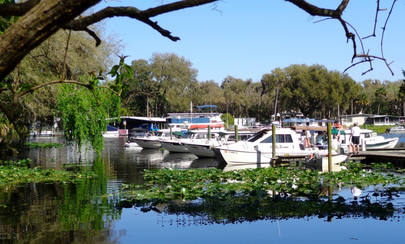 Our own C-Brat dock.