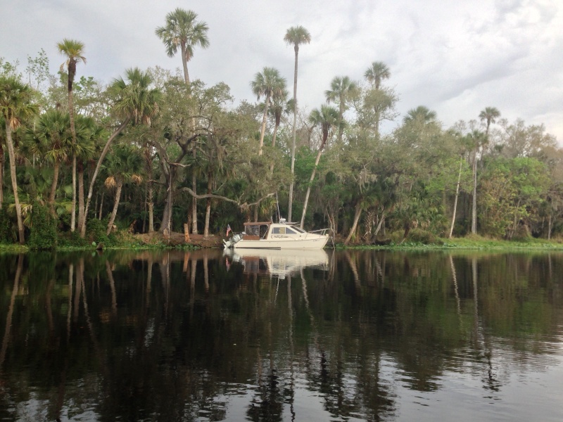 Our staging area a few days prior to gathering.