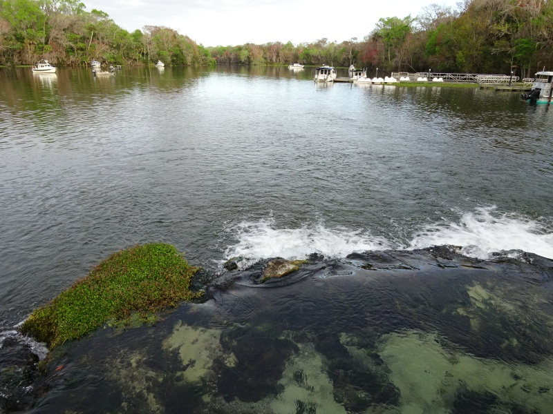 Over fall, with C Dory 7 in background