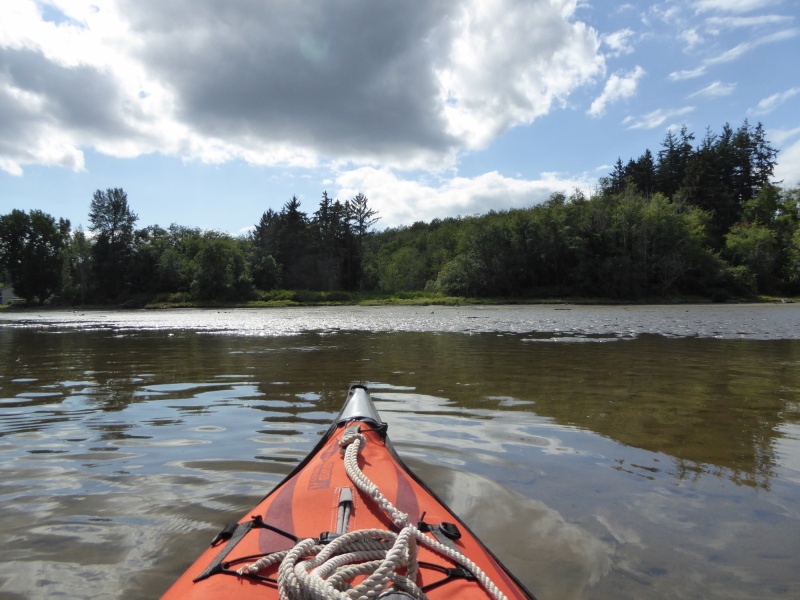 Paddling around Liberty Bay Friday afternoon, in about 6" of water in much of the bay.
