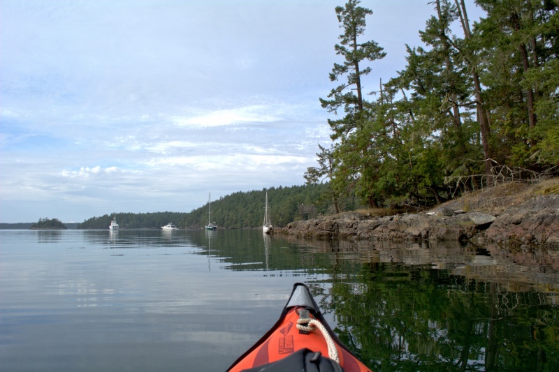 Paddling around the bay