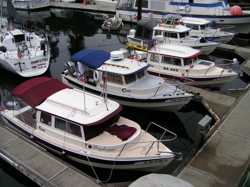 (Pat Anderson) And More Dorys