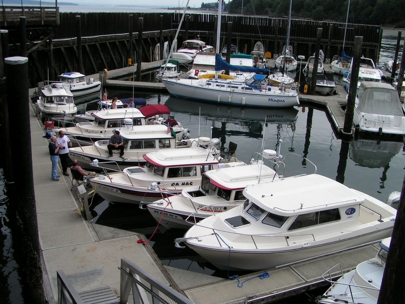 (Pat Anderson) And Still More C-Dorys