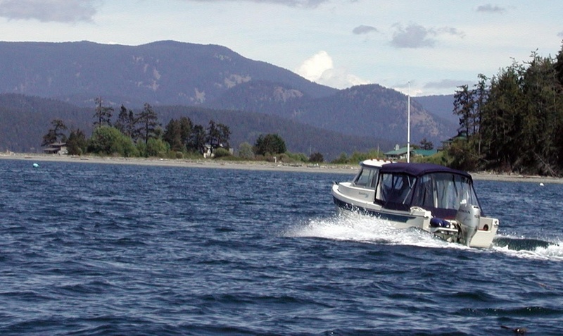 (Pat Anderson) Bambina Heading Home