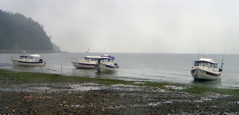 (Pat Anderson) Boats on the Outgoing Tide
