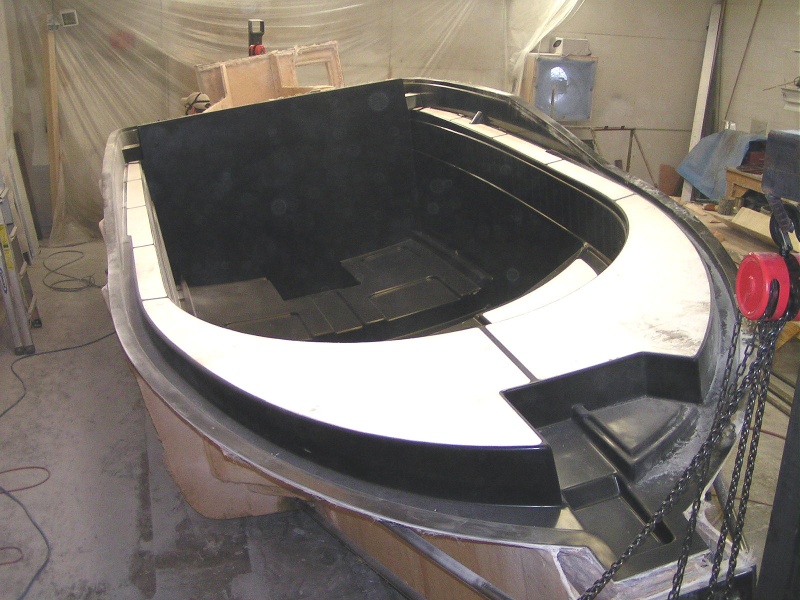 (Pat Anderson) Cabin mold 4-14-06