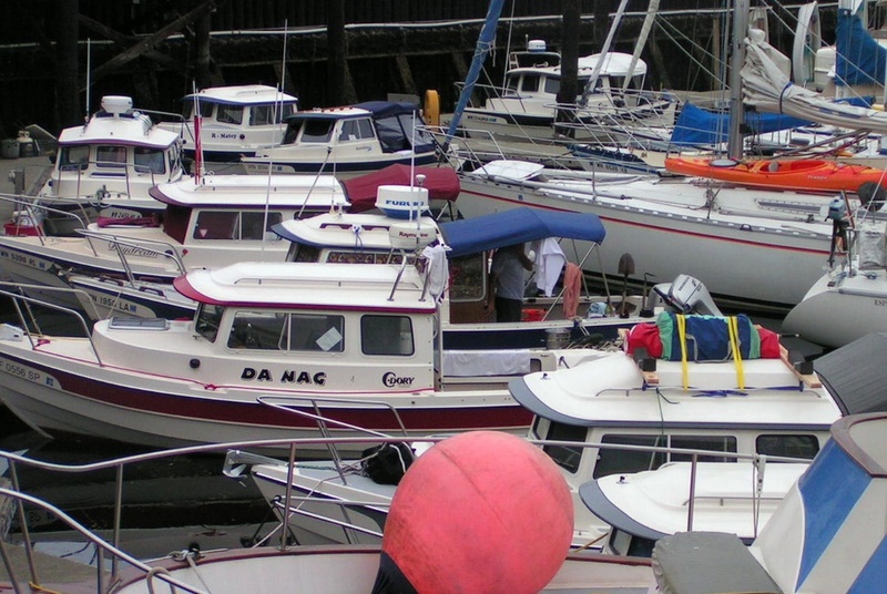 (Pat Anderson) Dorys Jammed in with the Door Closed