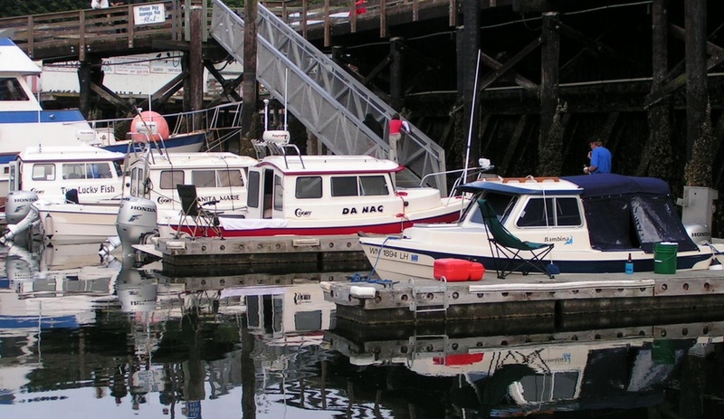 (Pat Anderson) Dorys on Display Friday - Two Lucky Fish, Anita Marie, Da Nag and Bambina