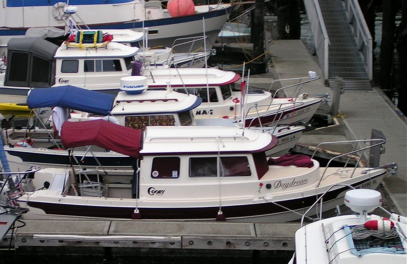 (Pat Anderson) Dorys