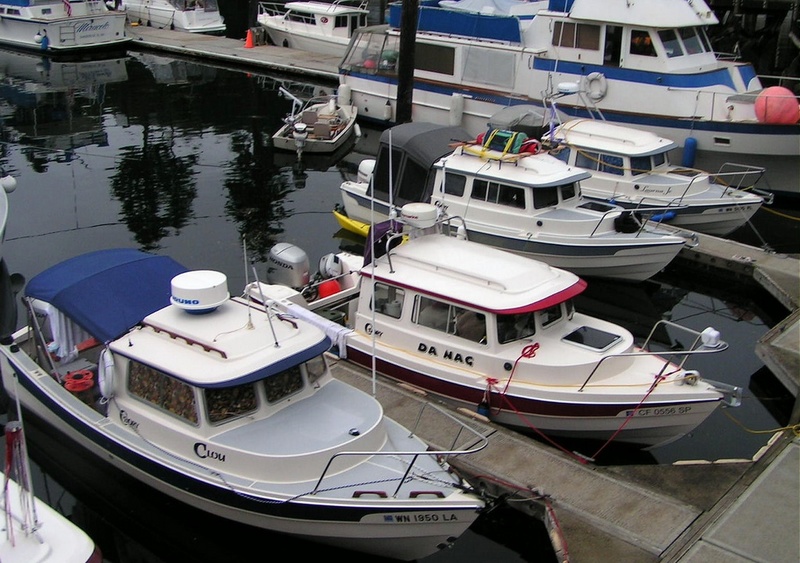 (Pat Anderson) Dorys