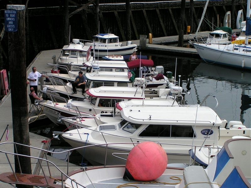 (Pat Anderson) More C-Dorys