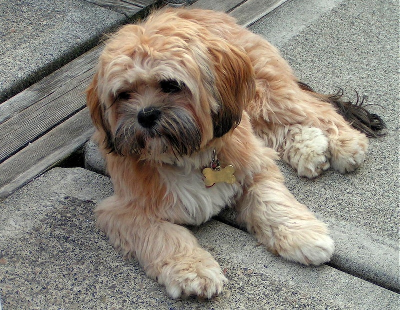 (Pat Anderson) More Oscar