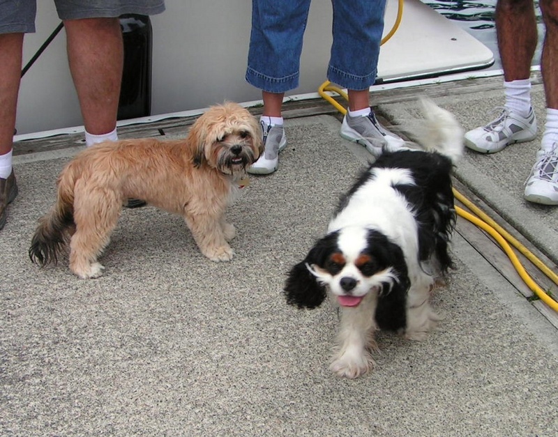 (Pat Anderson) Oscar and Porsche