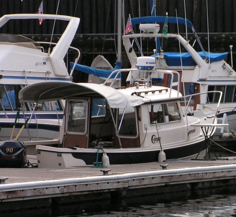 (Pat Anderson) Sensei