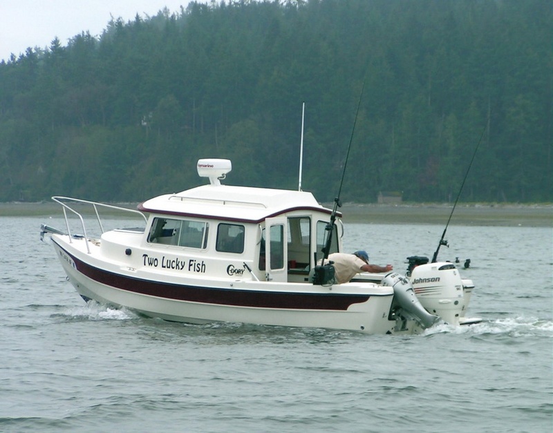 (Pat Anderson) Two Lucky Fish