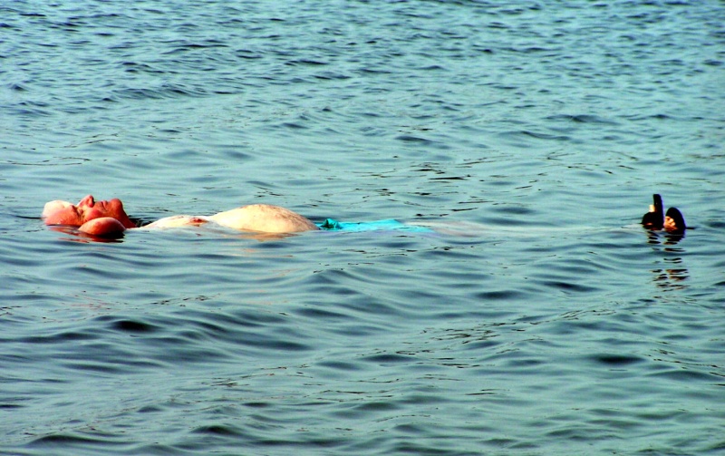 (Pat Anderson) Unidentified Marine Mammal (actually it is Bill Fiero)
