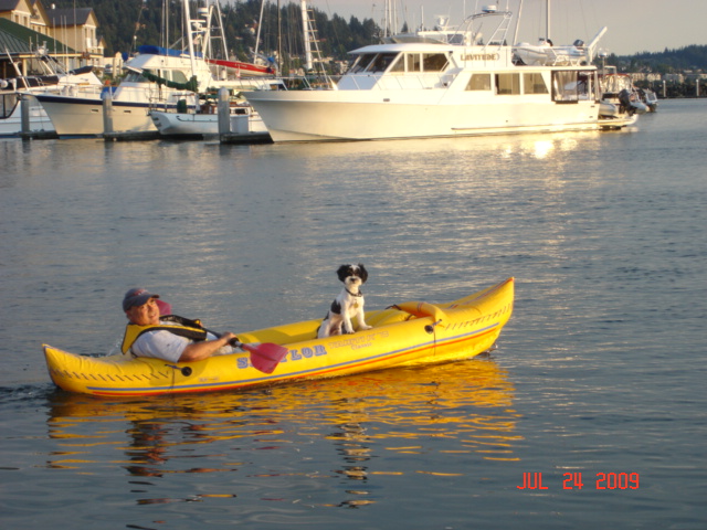 Pat & Baxter
DAYDREAM