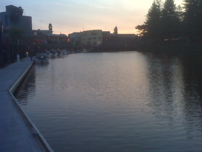 Petaluma turning basin in the evening