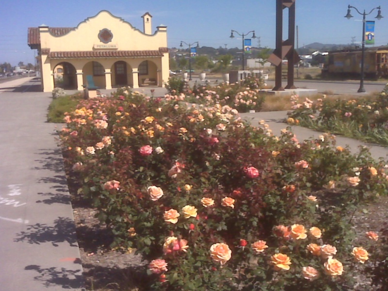Petaluma Visitor Center