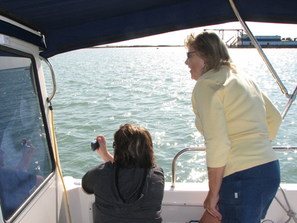 Photographing dolphins