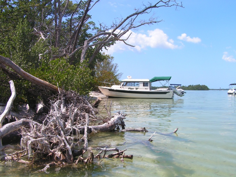 Picnic Island, florida