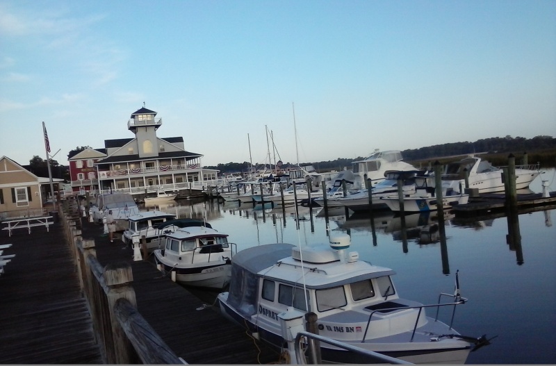 Picture of the marina at Smithfield.