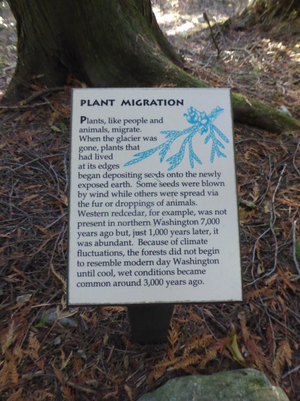 Plant Migration