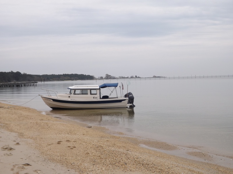 point lookout in background