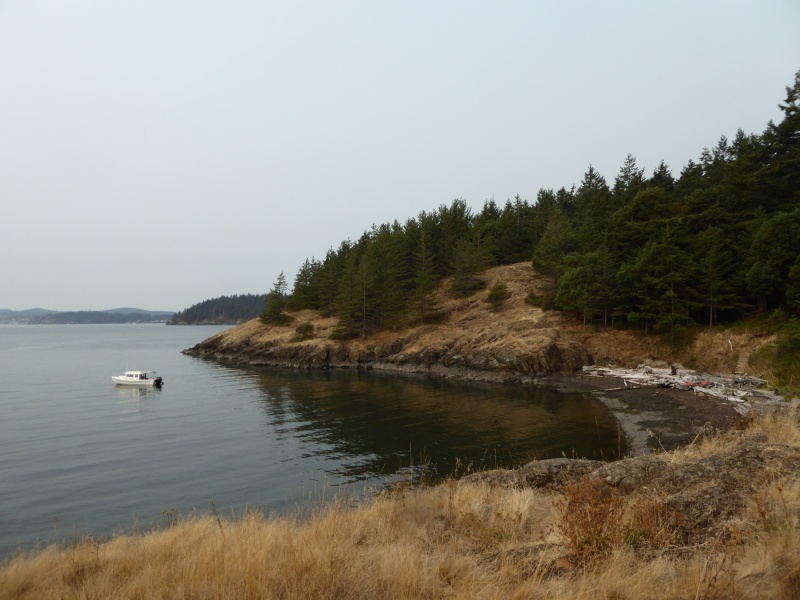 Probably could have anchored in even a little closer, but this was about 5.5 feet at low tide.