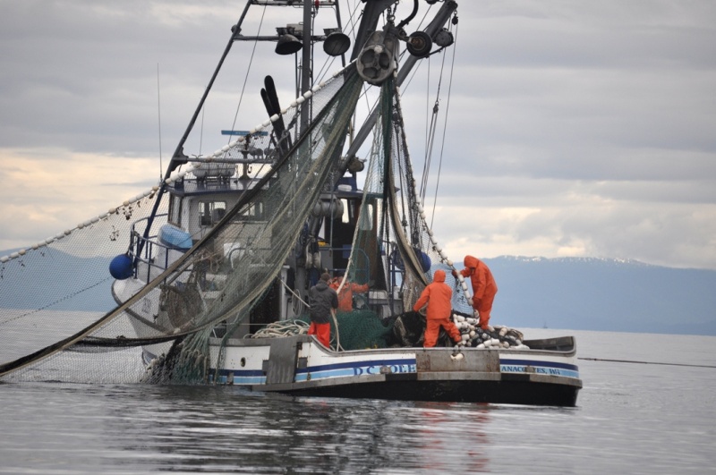 Purse Seiner in Chatham Strait