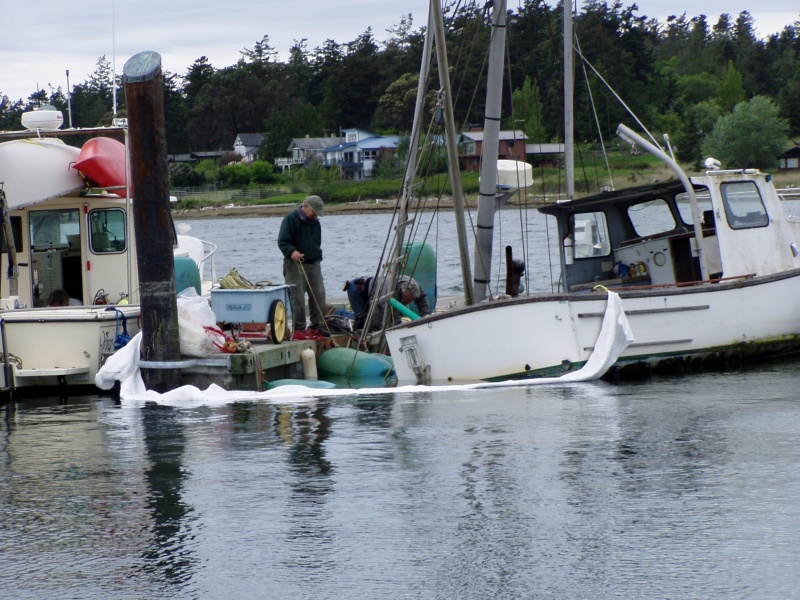 Raising Sunken Sonja