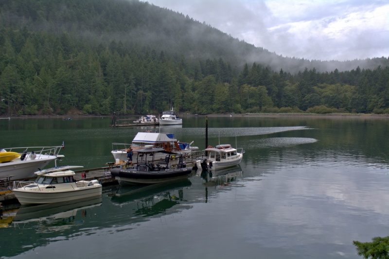 Reid Harbor dock on August 23, 2019