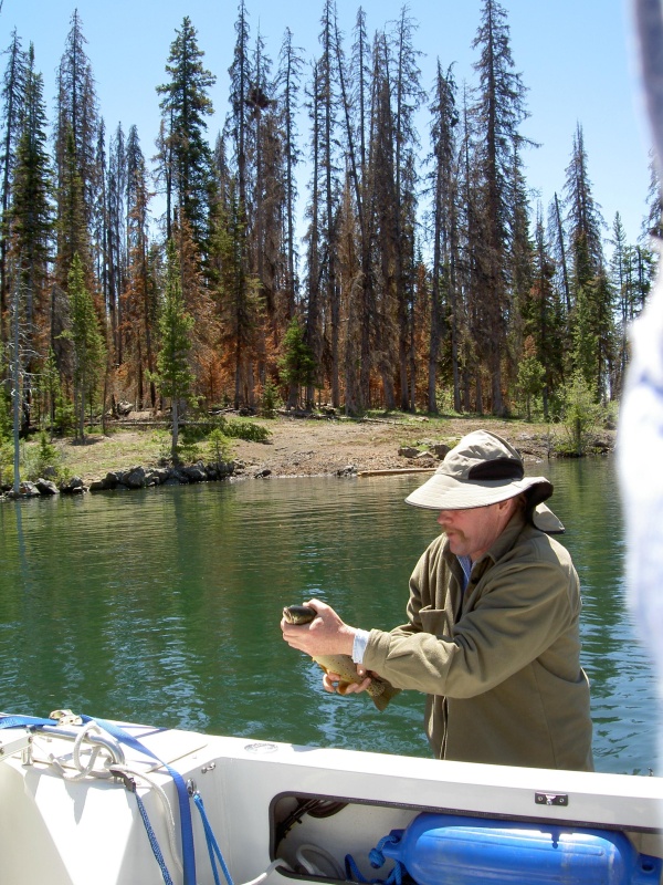 releasing trout off Promatory point  wilderness campsite