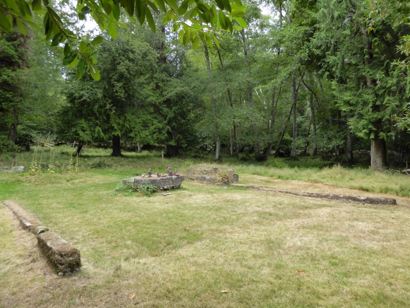 Remnants of the Trimble Homesite