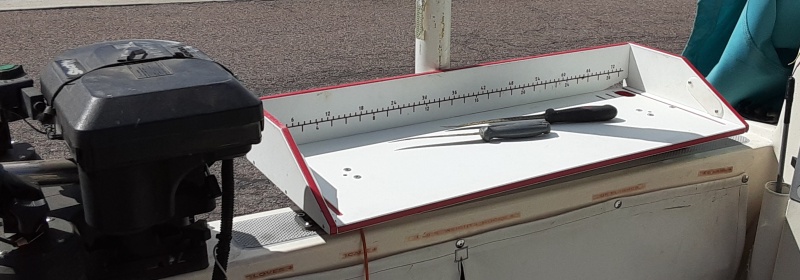 Removable fish cleaning station fits into rod holder mounts. Wash down pump is located to the left of this station.