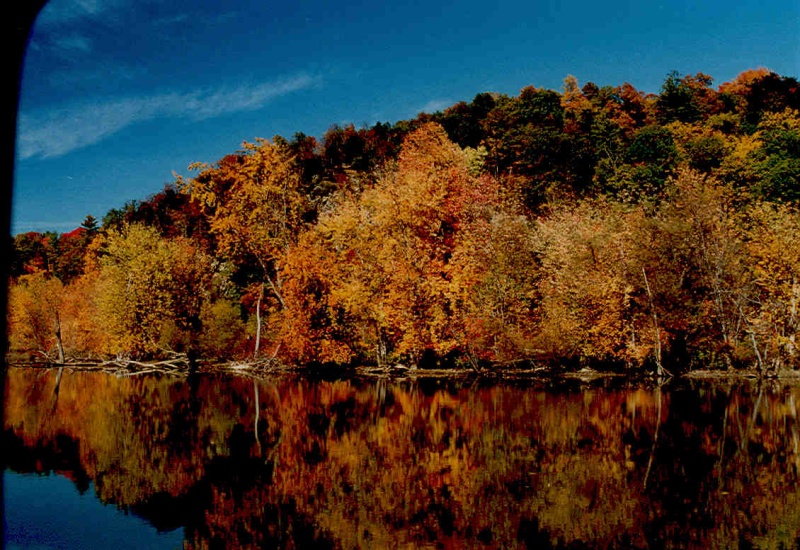 (Rick from Maine) Champlain Foliage