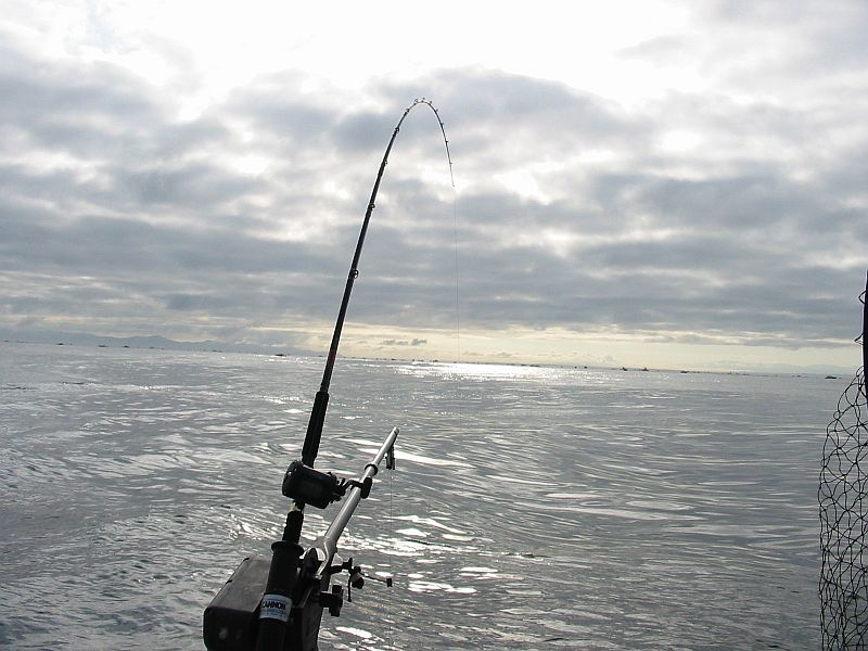 'riggin at C.R. Buoy