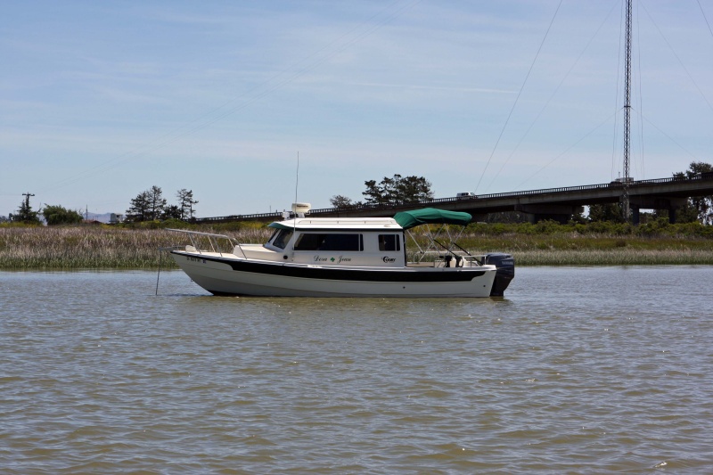 Rio Vista 035a, Lunch time at the mouth of the Petaluma River